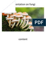 fungi.pptx
