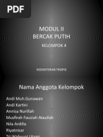 Presentation Modul Bercak Putih