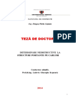 Draft_teza_Florin Lisman.pdf