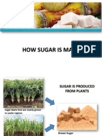 How Sugar Is Made Ver 3