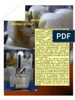 Institutii_sociale._Status_si_rol.pdf