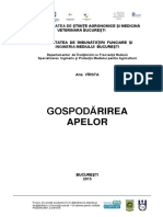Gospodarirea Apelor - Ana Virsta PDF