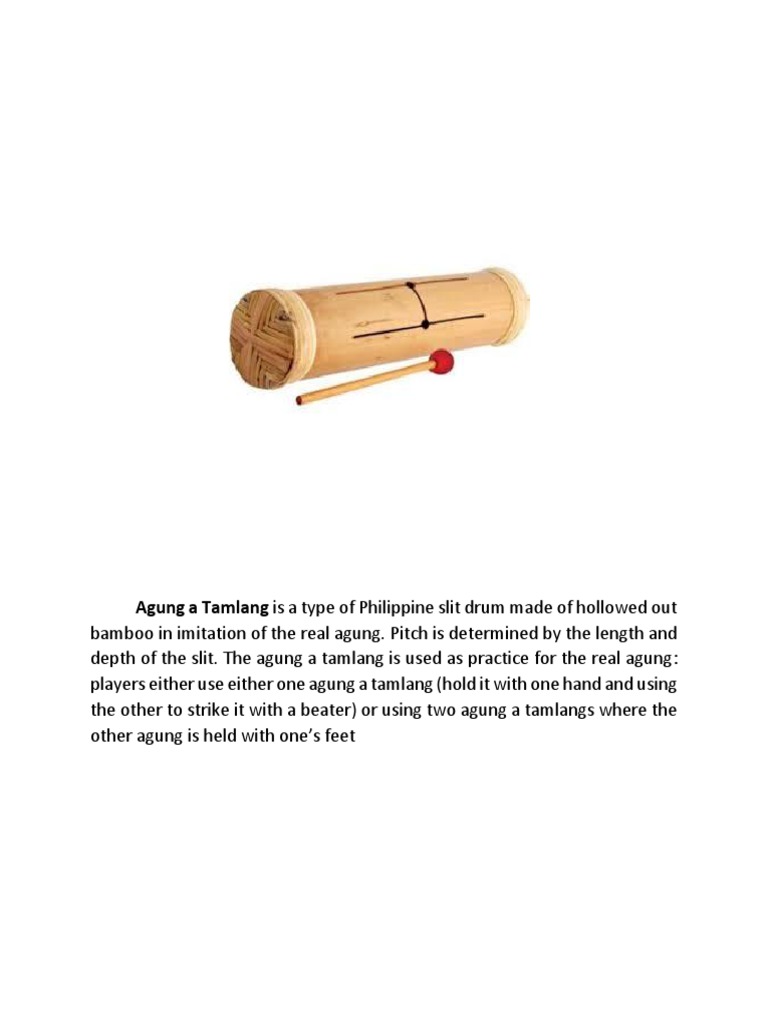 Musical Instrument | PDF | Musical Instruments | Music Technology