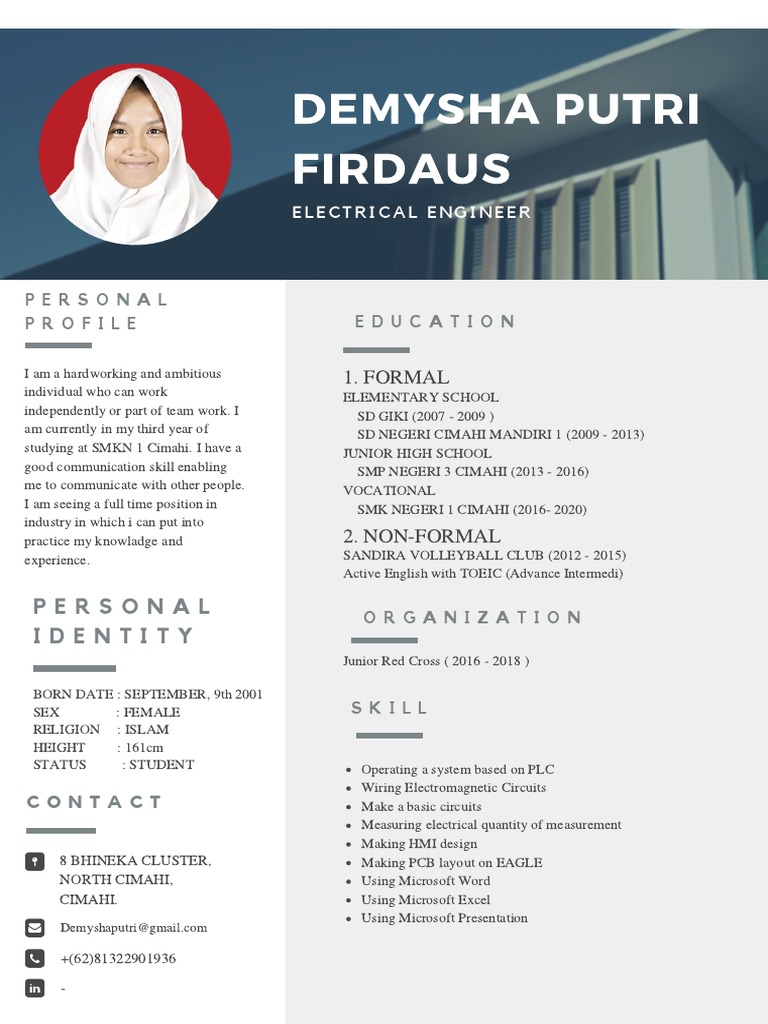 Electrical Engineering Student Profile | PDF | Learning