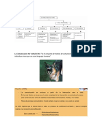 La Comunicación No Verbal PDF