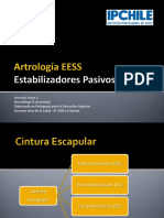 Artrología EESS ANKI 2014 PDF