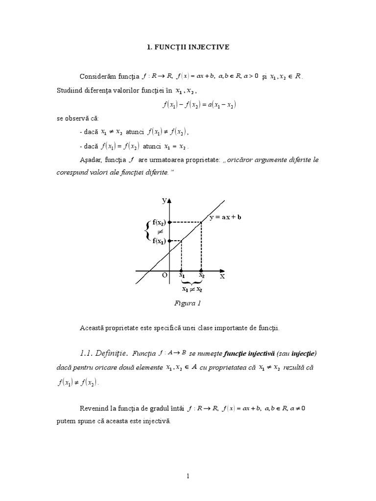 Functii Injective, Surjective, Bijective | PDF