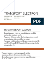 Transport Electron