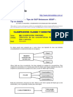 Clases y Caracteristicas en SAP.pdf