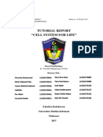 Tutorial Report Cell System For Life