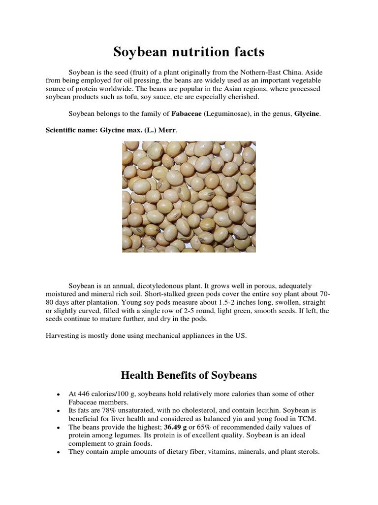 Soybean | PDF | Soybean | Legume