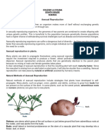 8th Guide - Plant Reproduction Asexual