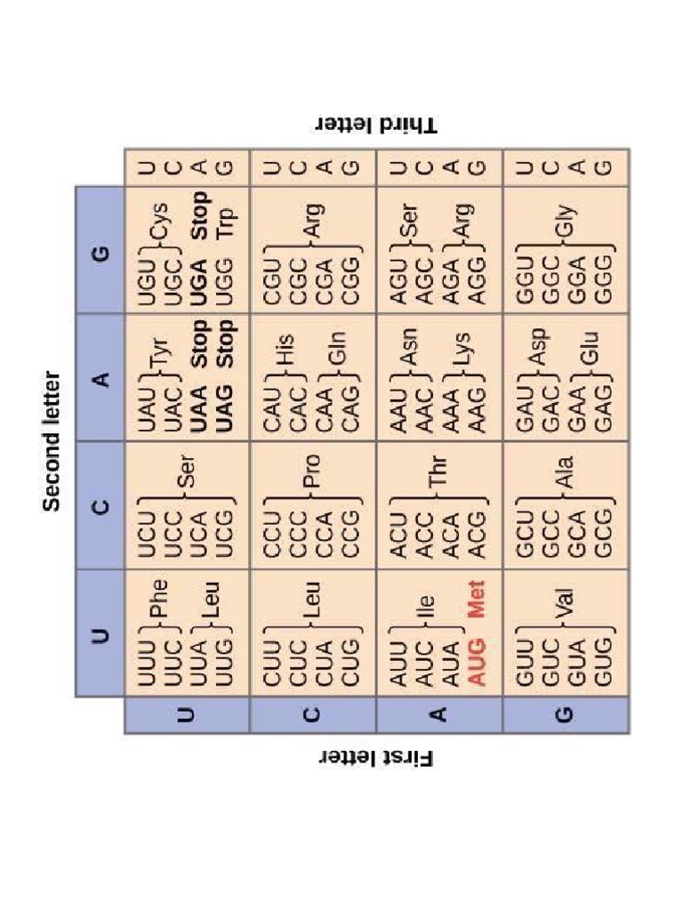 Genetic Code Table | PDF