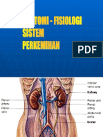 Anfis Perkemihan