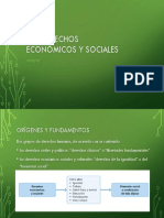 Los Derechos Economicos y Sociales