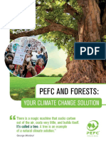 PEFC & Forests