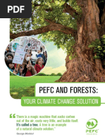 PEFC & Forests