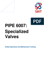 PIPE 6007 Specialized Valves