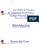 Teoría del caso WPS.ppt