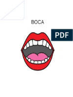 Boca