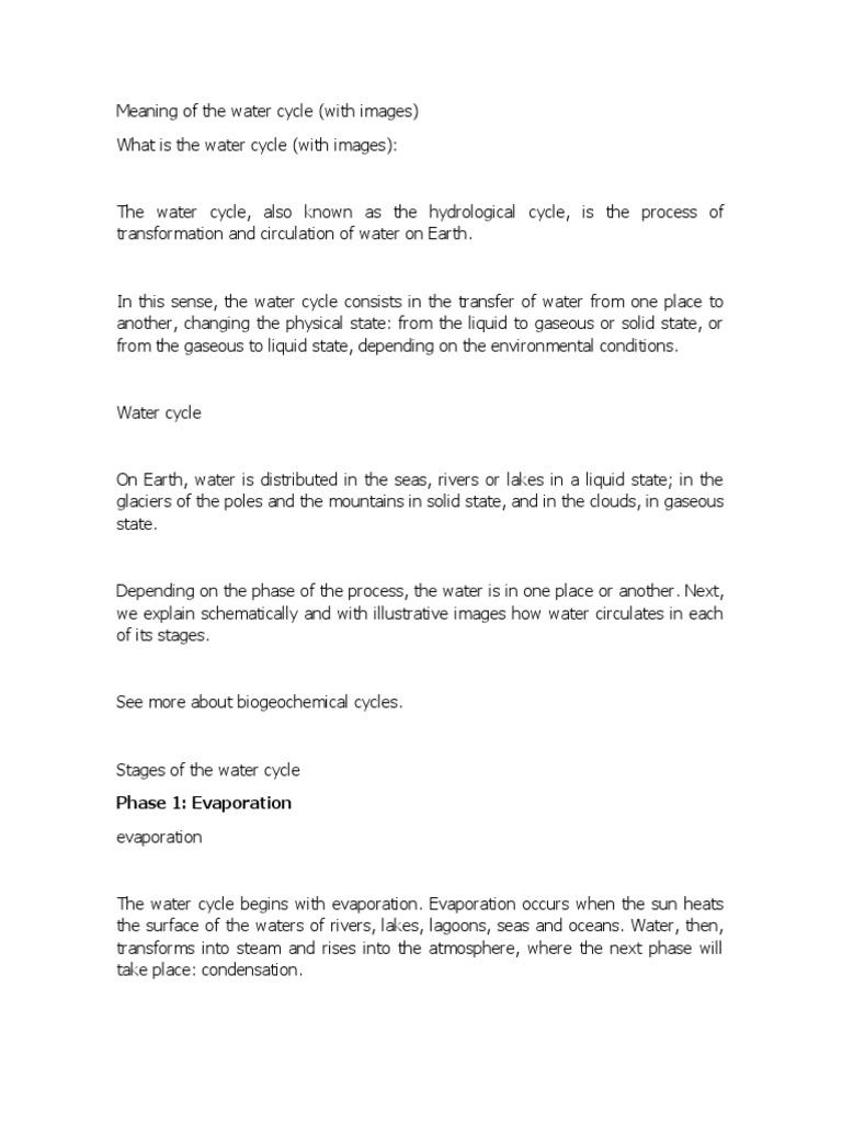Understanding the Water Cycle Explained | PDF | Water Cycle | Evaporation