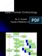 Basic of Human Embryology PDF