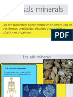 Sals Minerals PDF