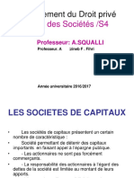 Droit-des-sociétés.pdf