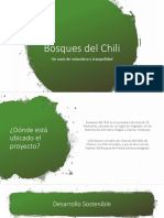 Bosques Del Chili