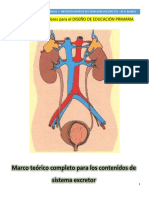 MÓDULO Sistema Excretor