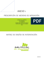 Matriz Diseno Intervencion v3