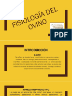 Fisiología Del Ovino