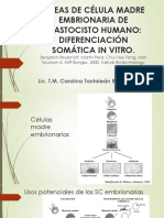 Líneas de Célula Madre Embrionaria de Blastocisto Humano
