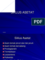 Siklus Asetat