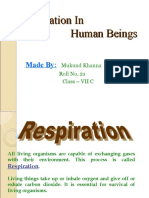 Respiration in Human Beings