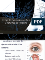 Funcion de Retina