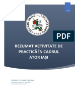 Rezumat activitate de practica ator iasi.docx