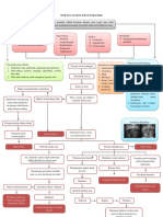 Web of Caution Ileus Paralitik