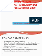 Acuerdo Plenario 001-2009 - RONDAS CAMPESINAS