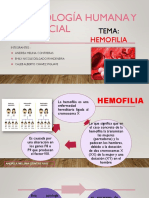 Hemofilia Expogrupo 3