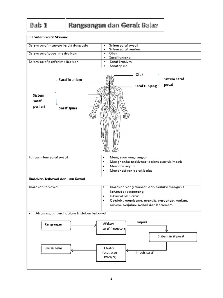 Modul Bab 1 Sains Tingkatan 3