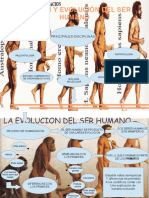 Mapa Argumental-Origen y Evolución Del Ser Humano