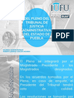 PLENO DEL TRIBUNAL DE JUSTICIA ADMINISTRATIVA.pptx
