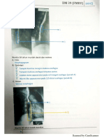 DR Nugroho PDF