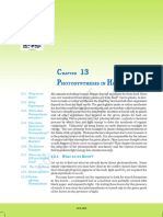 photosynthesisi.pdf