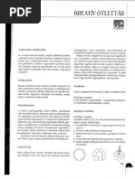Bajczi Tünde-Orzói Zsuzsanna | PDF