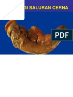 EDIT Patologi Saluran Cerna PDF