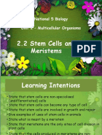 2 2 Stem Cells and Meristems