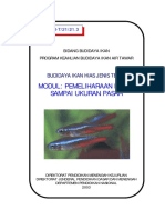 Budidaya Ikan Hias Tetra Pemeliharaan Larva Sampai Ukuran Pa PDF