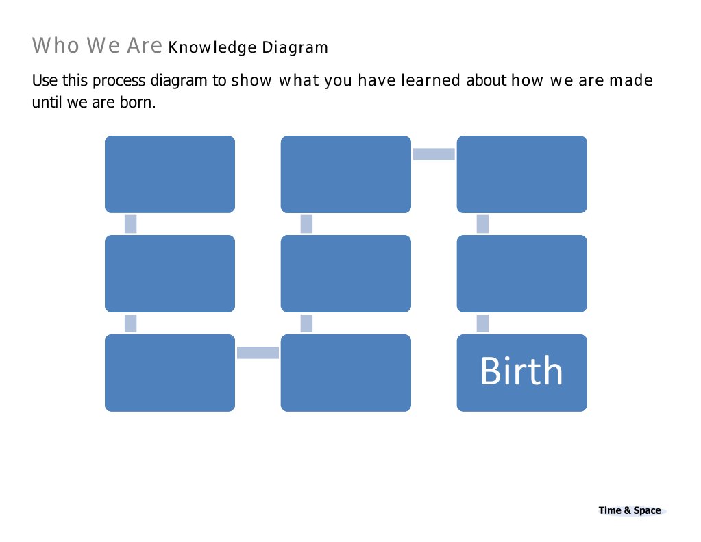 Birth Process Diagram | PDF